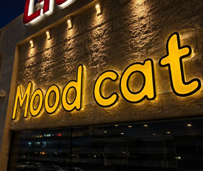 אותיות מוארות · Mood Cat